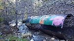 photo thumbnail #13