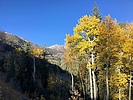 photo thumbnail #12