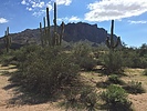 photo thumbnail #3