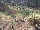 photo thumbnail #10