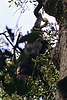 photo thumbnail #12