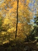 photo thumbnail #10