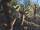 photo thumbnail #2