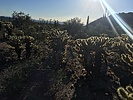 photo thumbnail #4