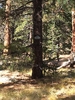 photo thumbnail #10