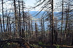 photo thumbnail #8