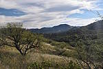 photo thumbnail #4