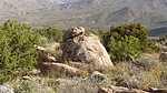 photo thumbnail #11