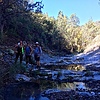 photo thumbnail #5