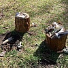 photo thumbnail #4