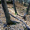 photo thumbnail #8