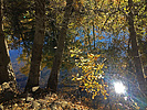 photo thumbnail #11