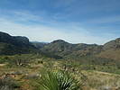photo thumbnail #5