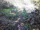 photo thumbnail #7