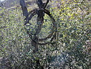photo thumbnail #8
