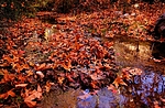 photo thumbnail #13