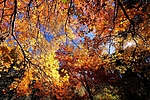 photo thumbnail #15