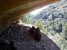 photo thumbnail #6