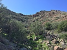 photo thumbnail #5