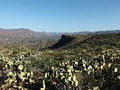 photo thumbnail #6