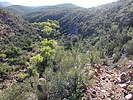 photo thumbnail #10