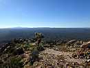 photo thumbnail #15