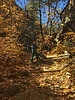 photo thumbnail #10
