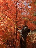 photo thumbnail #15