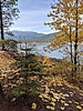 photo thumbnail #3