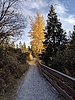 photo thumbnail #11