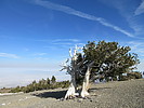 photo thumbnail #14