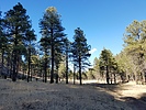 photo thumbnail #7