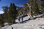 photo thumbnail #13