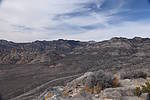 photo thumbnail #14