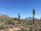 photo thumbnail #1