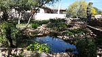 photo thumbnail #8
