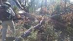 photo thumbnail #8
