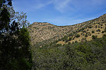 photo thumbnail #7