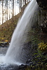 photo thumbnail #9
