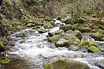 photo thumbnail #10