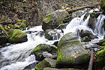 photo thumbnail #11