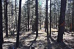 photo thumbnail #8