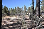 photo thumbnail #9