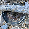 photo thumbnail #9