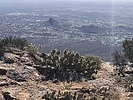 photo thumbnail #6