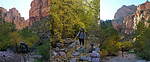 photo thumbnail #2