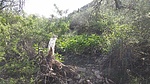 photo thumbnail #12