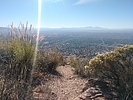 photo thumbnail #2