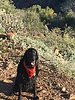 photo thumbnail #1