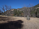 photo thumbnail #6